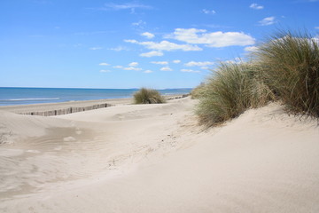 Plage de rêve dans le Languedoc, le petit travers, plage de sable fin à Carnon, Hérault, Occitanie, France
