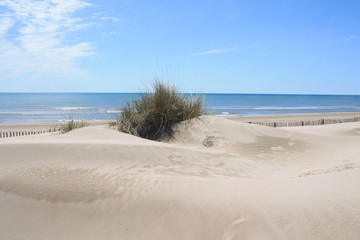 Plage de rêve dans le Languedoc, le petit travers, plage de sable fin à Carnon, Hérault, Occitanie, France
