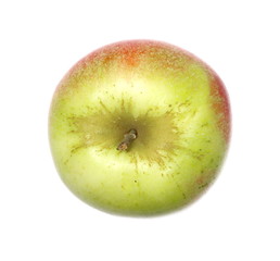 apple isolated on white, top view
