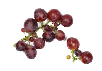 Cardinal grapes isolated on white 