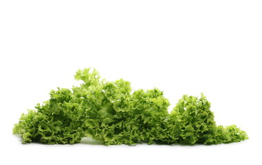 Fototapeta premium Fresh Lettuce isolated on white