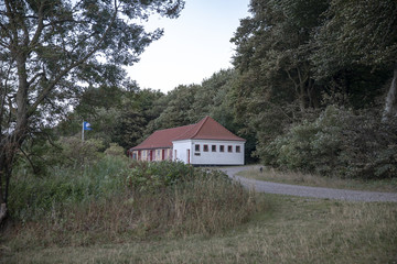 Going to the beech forest in Denmark