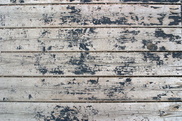 The gray background from old boards.