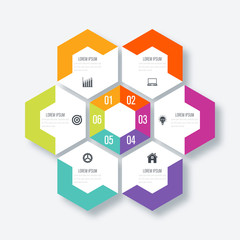 Vector illustration infographics 6 options