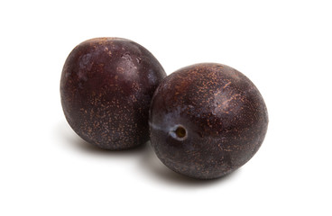 plum isolated