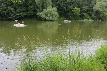  The shore of the plain river