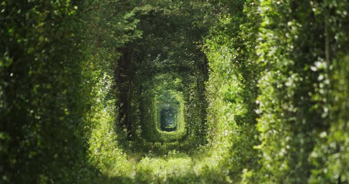 Ukraine. Klevan tunnel of love