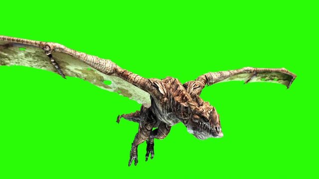 Angry Big Dragon Fly Close up Green Screen 3D Rendering Animation Background