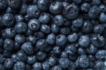 Heap of fresh blueberries closeup