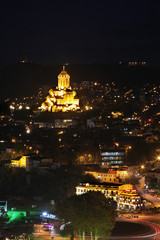 Fototapeta na wymiar Panoramic view of Tbilisi. Georgia