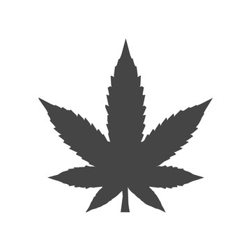 Cannabis leaf logo icon