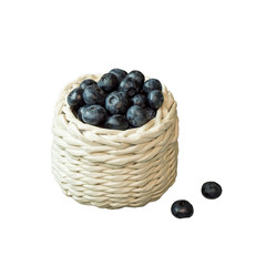 
  Ripe blueberry in a small wicker basket on a white background. 