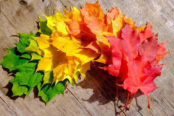 Autumn leaves over old wooden background.