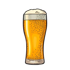 Glass beer. Vintage vector color engraving