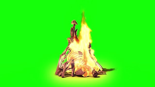 Burning Skull Stack Fire Green Screen 3D Rendering Animation