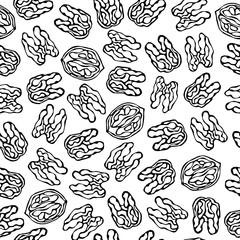 Walnut Seamless Endless Pattern. Whole Peeled Walnuts. Autumn or Fall Harvest Collection. Realistic Hand Drawn High Quality Vector Illustration. Doodle Style.