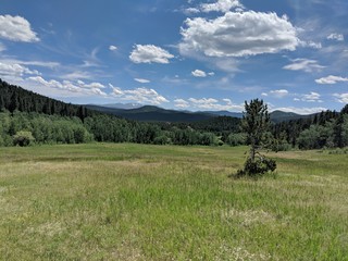 Colorado Prarie
