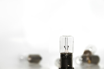 Isolated light bulbs 24 V 2 W on white background