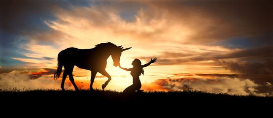 Free and happy girl caresses a unicorn on the meadow at sunset © ginettigino