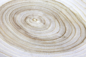 Fototapeta na wymiar Texture of sawn wood close up.