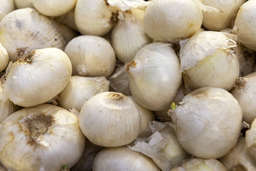 Red onions are laid out on shop windows.