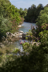 Beautiful mountain river in Preveli, Crete
