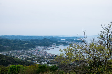 Fototapeta na wymiar The view of Motoha town located in the valley among the mountains and by the ocean from the top of Mount Nokogiri in Chiba prefecture, with the tree in the front