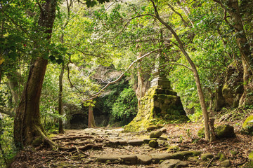 An ancient monument covered with moss deep in the forest on Mount Nokogiri in Chiba prefecture,  Japan. The leaves of old trees are lit by the sun, and huge trees roots form the path. 