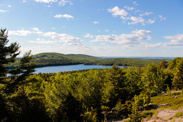 Obraz premium View of Lake and Forest in Acadia National Park
