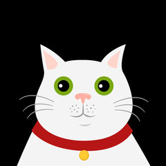 Cute cartoon white cat icon. Hello, spring. Isolated vector illustration on dark background
