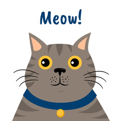 Cute cartoon gray cat icon. Meow. Isolated vector illustration on white background