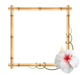 Realistic bamboo frame with white hibiscus flower.