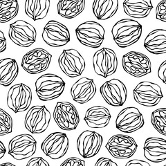 Walnut Seamless Endless Pattern. Whole and Peeled Walnuts. Autumn or Fall Harvest Collection. Realistic Hand Drawn High Quality Vector Illustration. Doodle Style.