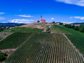 Church on top of the hill with big wineyard beneath it, Karlovac county, Croatia, drone aerial photo