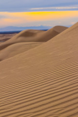 Desert Sand Ripples