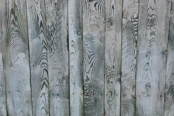 gray wooden texture from a row of planks in the fence