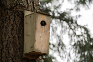 Small wooden birdhouse