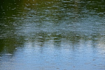 gray green texture water from a pond under the rain