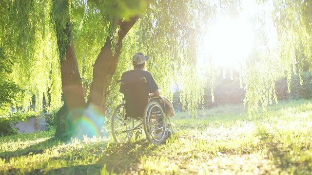 handicapped brunette man on wheelchair having a rest outdoors in sunny summer park looking at sunset rays light back view unrecognisable male person physical rehabilitation injury prevention health