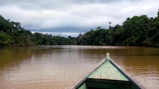 canoeing on a murky river of a tropical rainforest