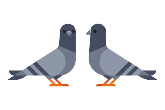 Pigeon or dove flying with cane drawing Royalty Free Vector