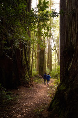 Obraz premium Forest Explorers