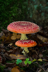 Mutter und Tochter?/ Mother and daughter?