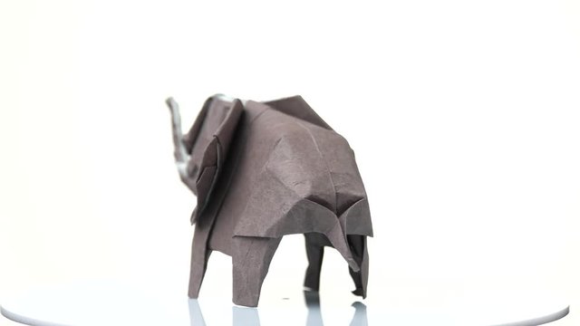 Grey origami elephant. Origami figure exhibition. White isolated background.