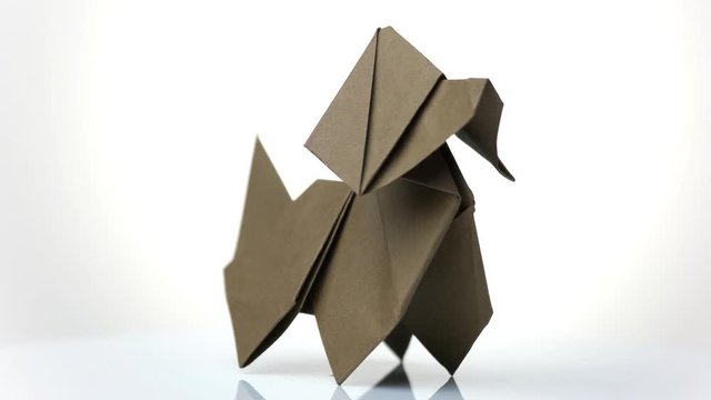 Origami dog close up. White isolated background.