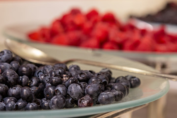 Plates of berries on a breakfast buffet