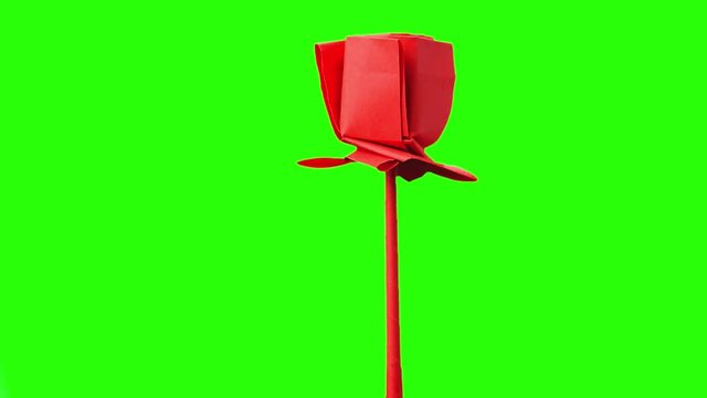 Red origami flower on exeposition. Green hromakey background for keying.