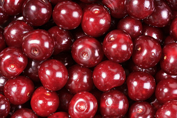 Close-up of pile of ripe cherries. Full screen of ripe red cherries background. Top view