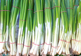 Fototapeta premium Onion market