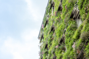 View at modern building with facade covered in plants and flowers